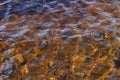 Water texture pattern in lake in spring sunlight. Through the clear water you can see small stone pebbles on the shore. small Royalty Free Stock Photo