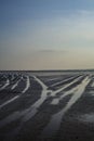 Water tide tracks on sandy beach at sunset portrait