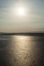 Water tide tracks on sandy beach at sunset portrait 2