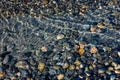 Water at tideline on a rocky beach, as a nature background, Semiahmoo Park, Washington State Royalty Free Stock Photo