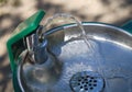 Water to drink in a fountain trough