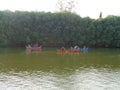 water tourism in the mangrove park at grand maerakaca, Semarang 2017