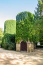 Water tower covered with wild grapes in Askania Nova