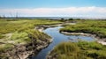 Lively Coastal Landscapes: A Stream In A Grassy Arctic Wetland