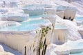 Water travertine pools at Pamukkale, Turkey Royalty Free Stock Photo