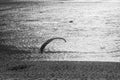 Paraglider over dunes and water at the Dune of Pilat Royalty Free Stock Photo