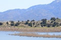 California Park Series - Lake Henshaw Reservoir - Scenic Vista Lookout