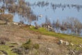 California Park Series - Lake Henshaw Reservoir - Scenic Vista Lookout