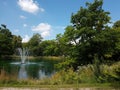 Water, Trees, Skie and Clouds Royalty Free Stock Photo