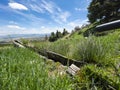 Water troughs made by carving trees in nature, mountains