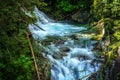 water tumbling over rocks next to a forest on a mountain Royalty Free Stock Photo