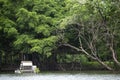 Water turbine : The Paddle water wheel Aerator on clean pond with greenery tree reflection in Rot Fai park, Bangkok, Thailand.