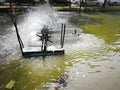 Water turbines add oxygen to the fish pond in a white bubble.