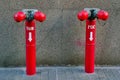 A water valve tank and FDC Fire Department Connection . Royalty Free Stock Photo