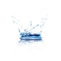 Water vector splash with reflection. blue water spray with drops isolated.