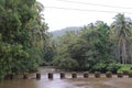 Water water everywhere is the state of Goa during monsoon season