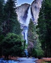 Water waterfall tree nature yosemite California foryou