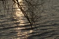 water wave lake detail sunset dark