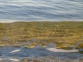 Water waves beautiful sea view buoy, float, drogue. Natural living. Pelion peninsula. Pagasetic gulf. Platanias village. Greece.