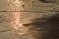 Water and wet rippled sand at the beach at sunset background Royalty Free Stock Photo