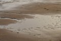 Water and wet rippled sand at the beach at sunset background Royalty Free Stock Photo