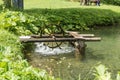 Water wheel in the lake