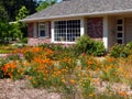 Water wise gardening in California