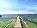 Water wooden bridge of fish sanctuary