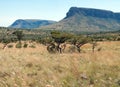 Waterberg Panorama. Royalty Free Stock Photo