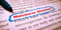 waterborne diseases medical terminology displayed on white paper with highlights pattern