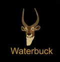 Waterbuck head portrait vector illustration isolated on black background. Royalty Free Stock Photo