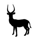 Waterbuck vector silhouette illustration isolated on white background. Royalty Free Stock Photo