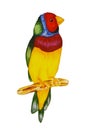 Watercolir multicolor bird illustration. One large bird sitting on a branch