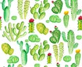 Watercoloe cactus seamles pattern