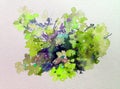 Watercolor abstract background floral flower phlox beauty decoration hand beautiful wallpaper