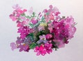 Watercolor abstract background floral flower phlox beauty decoration hand beautiful wallpaper