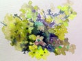 Watercolor abstract background floral flower phlox beauty decoration hand beautiful wallpaper