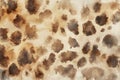 watercolor abstract background of leopard fur textured pattern in warm brown colors Royalty Free Stock Photo