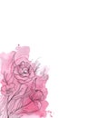 Watercolor abstract background. Watercolor pink spots and splashes, lineart