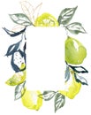 Watercolor abstract frame of ripe lemons, gold and leaves. Hand painted tropical border of linear fruits isolated on