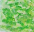 Watercolor abstract green background
