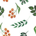 Watercolor abstract herbs seamless pattern with rowanberry orange berry. Hand drawn illustration isolated on white for