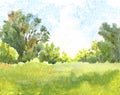 watercolor landscape with sunlight, green grass and trees and blue sky