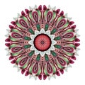 Watercolor abstract mandala. Circular pattern of feathers isolated on white background.