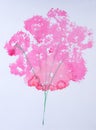 Watercolor abstract painting vibrant pink color flower branch with branch