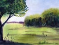 Watercolor abstract summer landscape. A blurred green meadow with dense tree in front view, vague forest in the background and Royalty Free Stock Photo