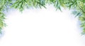 Watercolor abstract winter horizontal background. Branches of fir. Winter landscape.