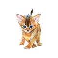 Watercolor abyssinian kitten