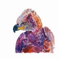 Watercolor of African crowned eagle on white Royalty Free Stock Photo