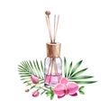 Watercolor Air refresher bottle orchid fragrance. Pink liquid with wooden sticks. Spa and cosmetic products isolated on
